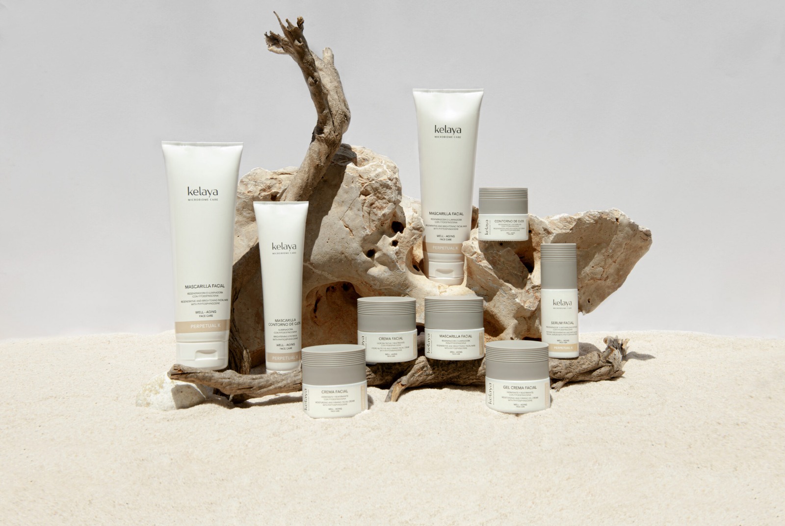 WhatsApp Image 2026-02-19 at 9.50.38 AM