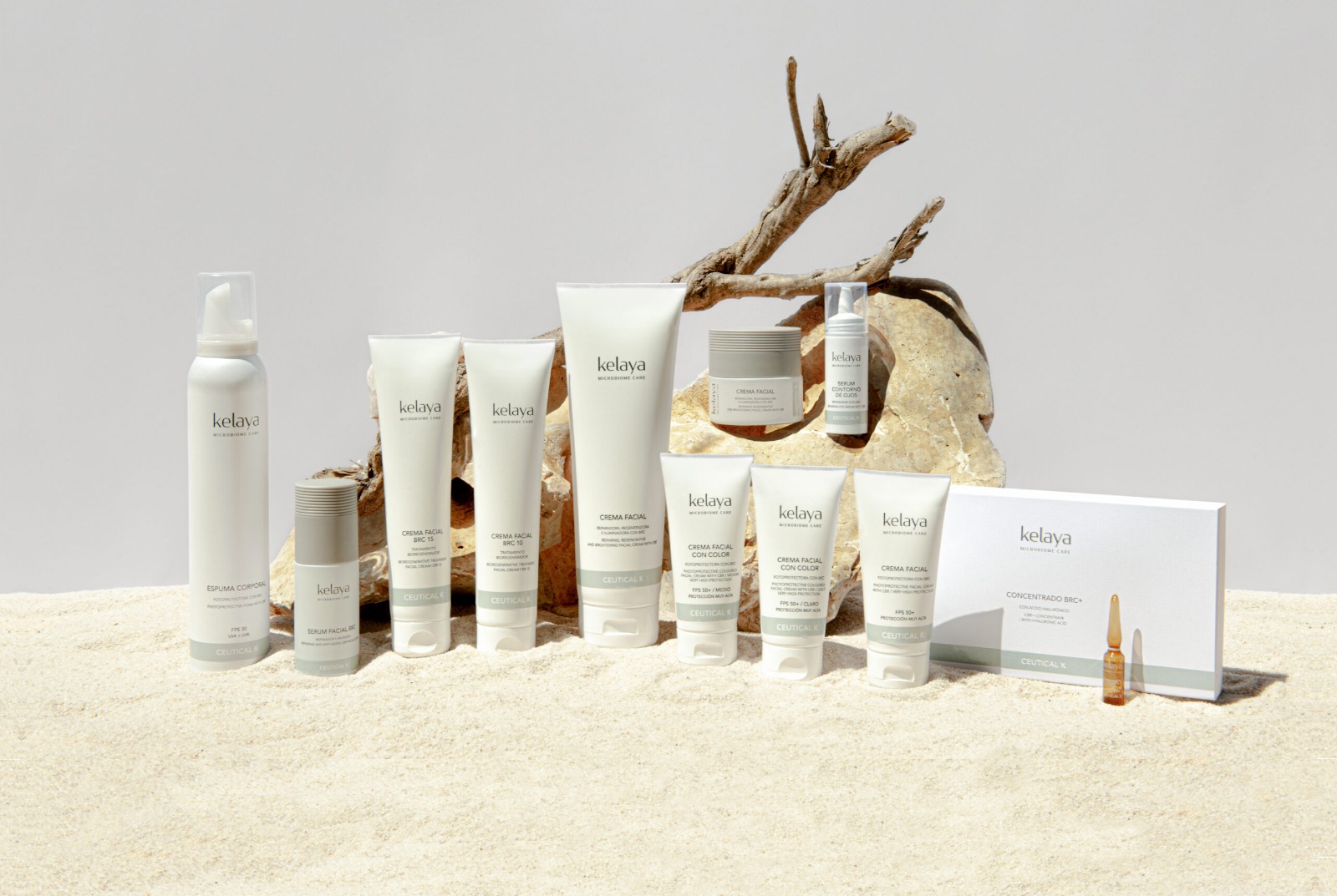 WhatsApp Image 2026-02-19 at 9.50.49 AM (1)